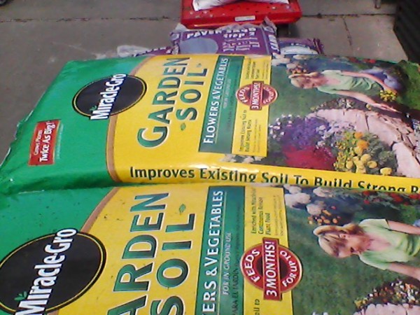garden soil